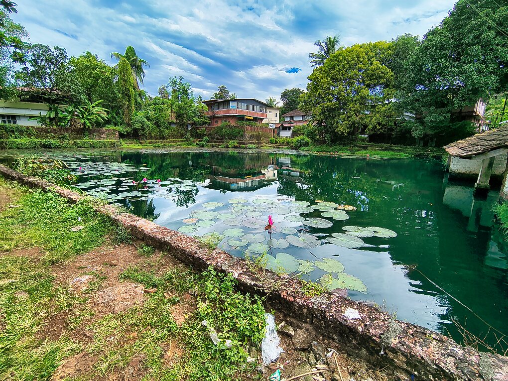 Temple Pond; Taliparamba; Trichambaram temple; Kerala; uasatish;