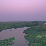 uasatish, India, blog, landscape, Vasai, nature; wetlands,