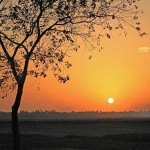 Vasai, India, Maharashtra, nature, uasatish, sunset,