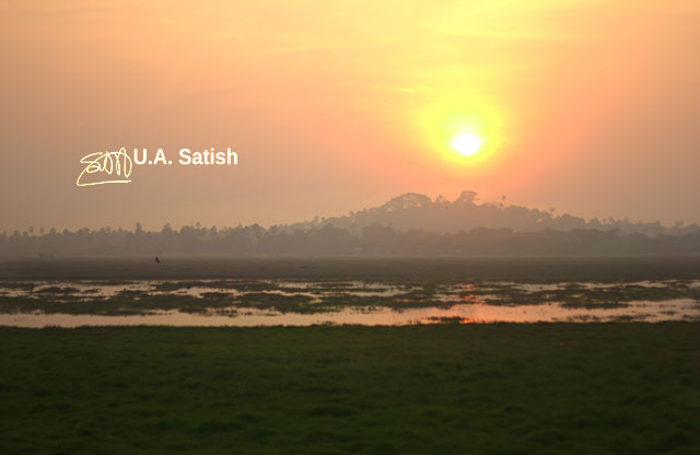 uasatish; India; Vasai; https://uasatish.com; nature; 