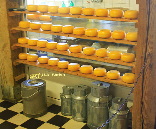 cheese; Netherlands; Zaanse Schans; indoors;uasatish; https://uasatish.com; Zaandam;