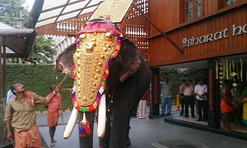 caparisoned elephant; BTH; Bharat Hotel; Kochi; Ernakulam; Kerala; India; hotel; uasatish; https://uasatish.com;