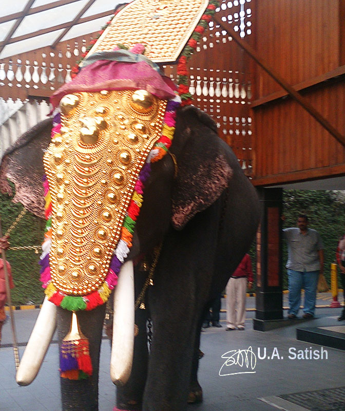 elephant; Kerala; Kochi; India; Thidambu; uasatish; https://uasatish.com;