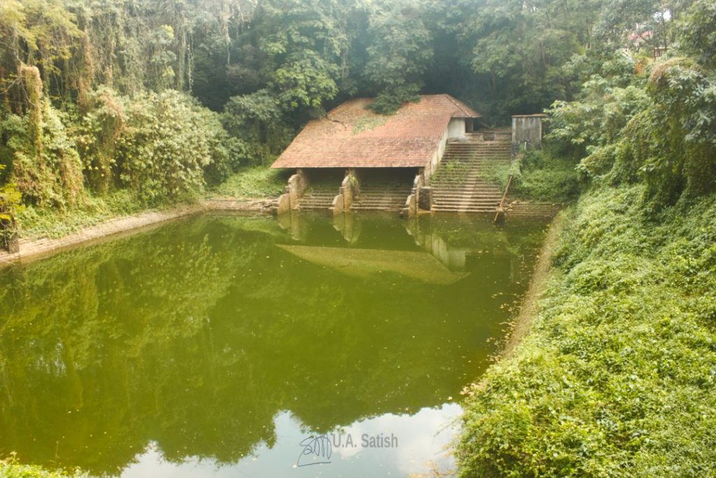 Pond with Kulikkadavu in Hill Palace;  Tripunithura; Kerala; pond; India;