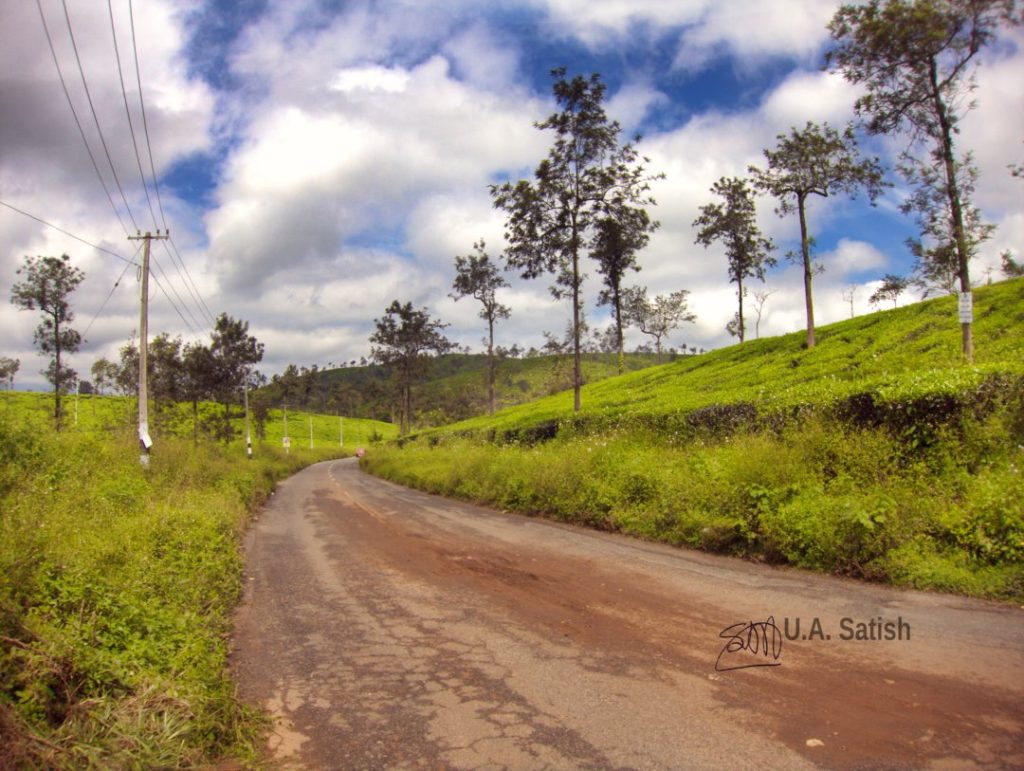 Road to Kalpetta; Wayanad; tea gardens; Kalpetta; uasatish; travel experiences in Wayanad;