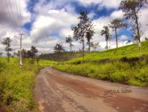 Road to Kalpetta; Soochippara Falls; Wayanad; Kerala; tea gardens; uasatish;