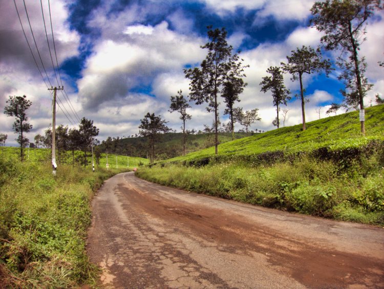 Road to Kalpetta; Wayanad; Kerala; travel blog; uasatish;
