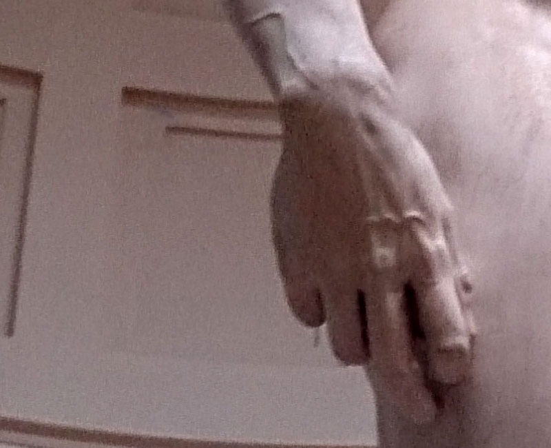 David; Michelangelo; Florence; Italy; Accademia Gallery; art museum; indoor; travel; uasatish; https://uasatish.com; marble sculpture; hand;