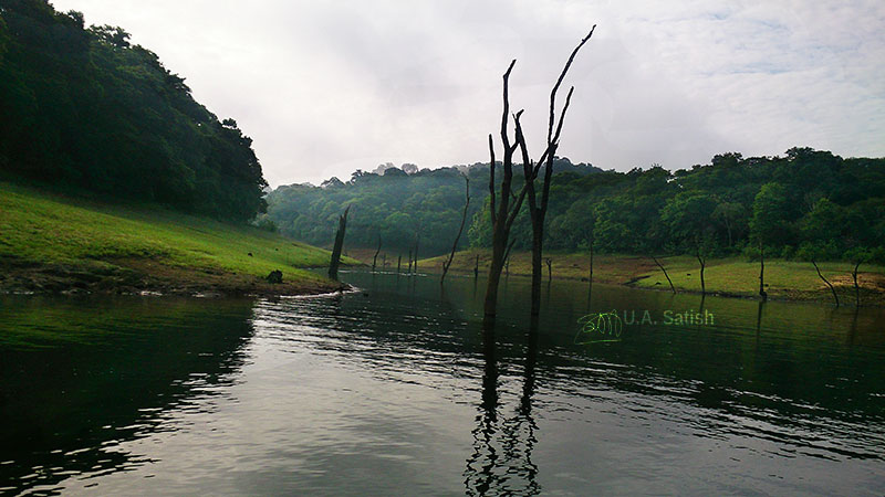 Periyar Lake; Thekkady; Kumily; Kerala; India; travel; outdoor;