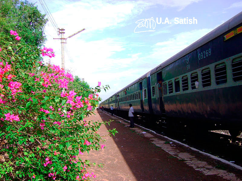 Anjani, Bougainvillea, Konkan, train station, India, uasatish, mist, travel