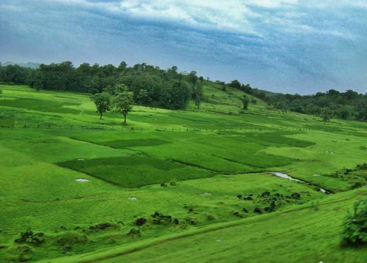 Konkan Pasture; travel blog; uasatish;