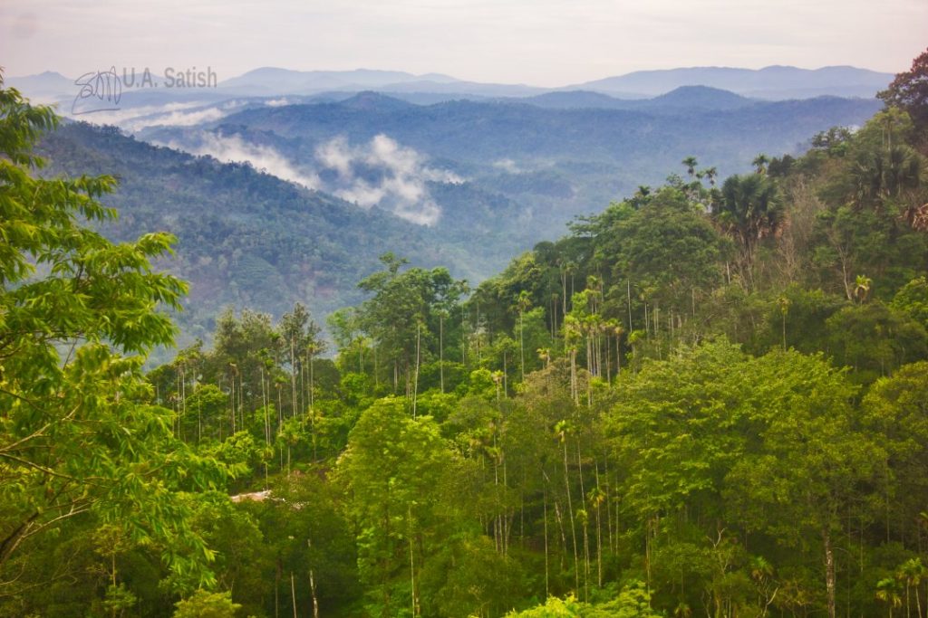 Munnar Hills Kerala; mountains; trees; uasatish; clouds;