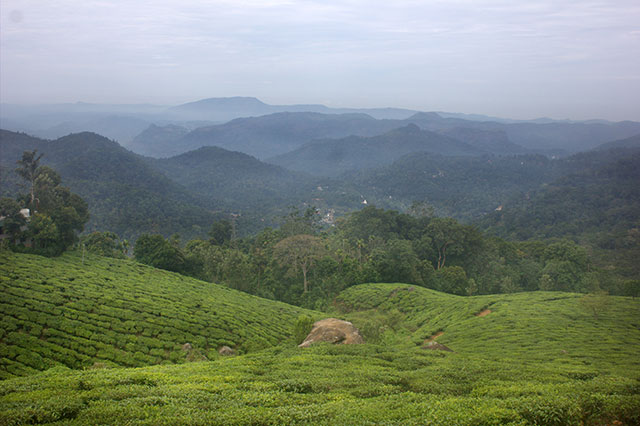 Munnar; Kerala; India; hills; mist; outdoor; travel; uasatish;