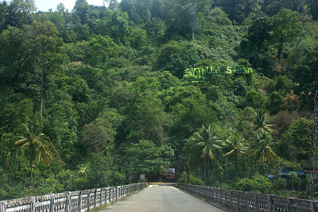 bridge; Mudira Puzha; Vellathuval; Kerala; India; outdoor; travel; uasatish;