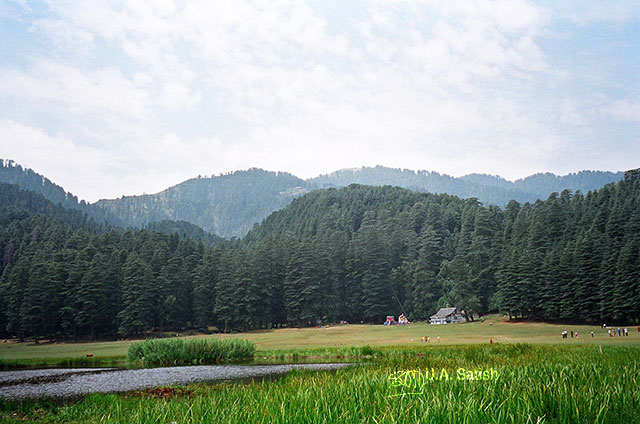 Khajjiar; Dalhousie; Himachal Pradesh; India; Himalayan cedars; outdoor; nature; travel; uasatish; mountains;
