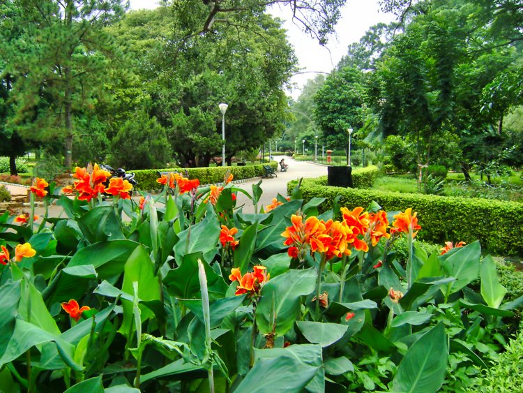 Lalbagh Botanical Gardens; Bangalore; uasatish;