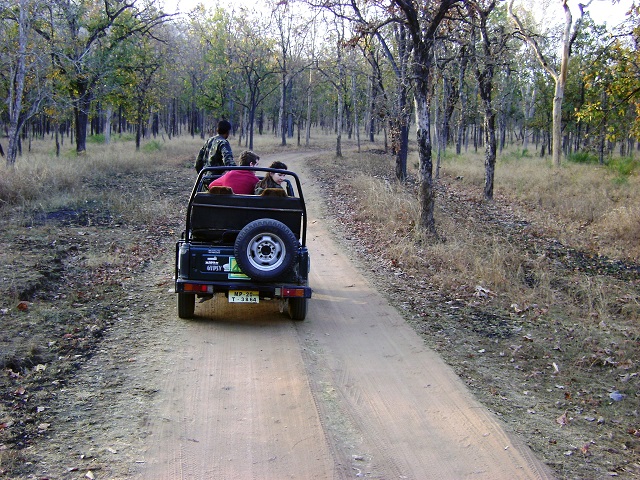 Pench, National Park, Madhya Pradesh, India, outdoor, travel, uasatish,