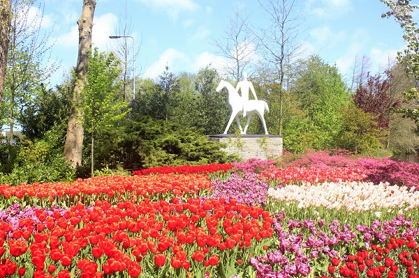  Keukenhof Tulip Gardens; Lisse; Netherlands; Holland; Netherlands; tulips; flowers; outdoor; travel; nature; uasatish;