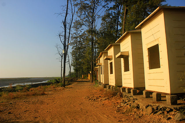 beach shacks; Suruchi beach; beach; Vasai; India; outdoor; Mumbai; uasatish;