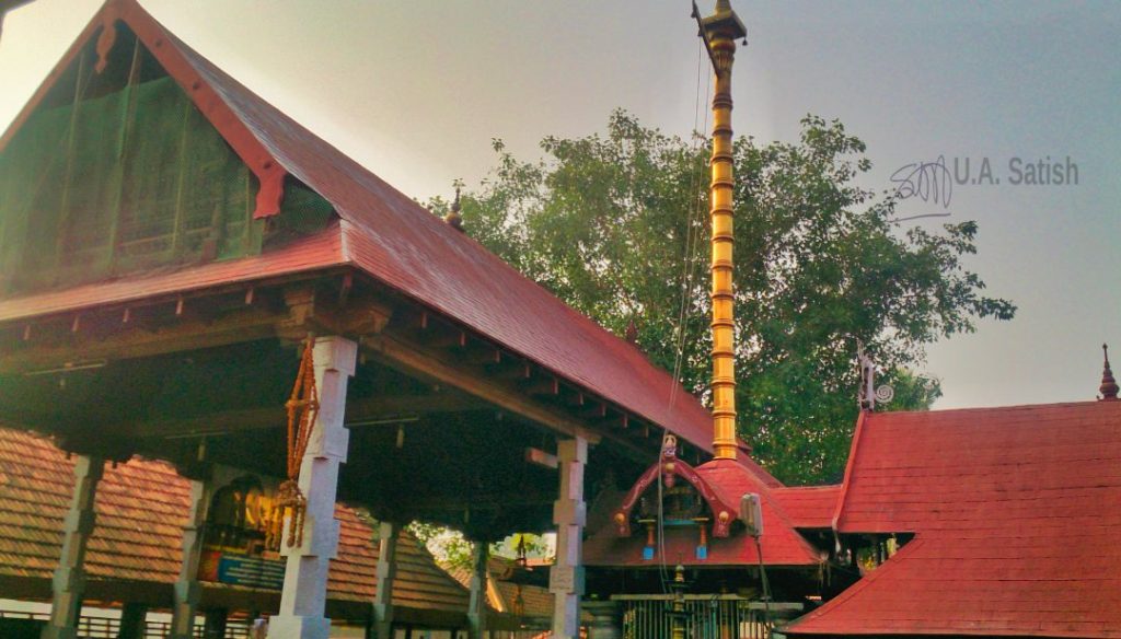 Kodimaram; Ambalapuzha Temple;uasatish;