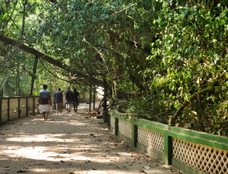 Path Through Temple Grounds; uasatish; Kerala; travel blog; Haripad;