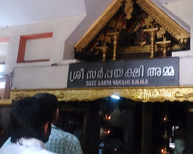 Mannarasala Temple; Haripad; Kerala; India; temple; building; uasatish;