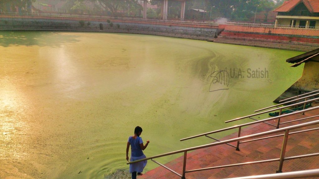 Temple Pond; Ambalapuzha; Kerala; uasatish;