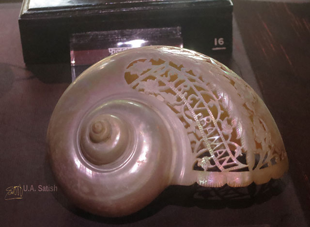  Mumbai; Byculla; India; museum; Jijanata Udyan; Victoria Gardens; uasatish; shankh; mother of pearl;