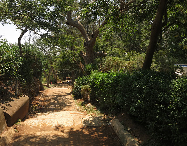  Bangalore;  #ancient Dravidian rock temple; #India; #architecture; uasatish;