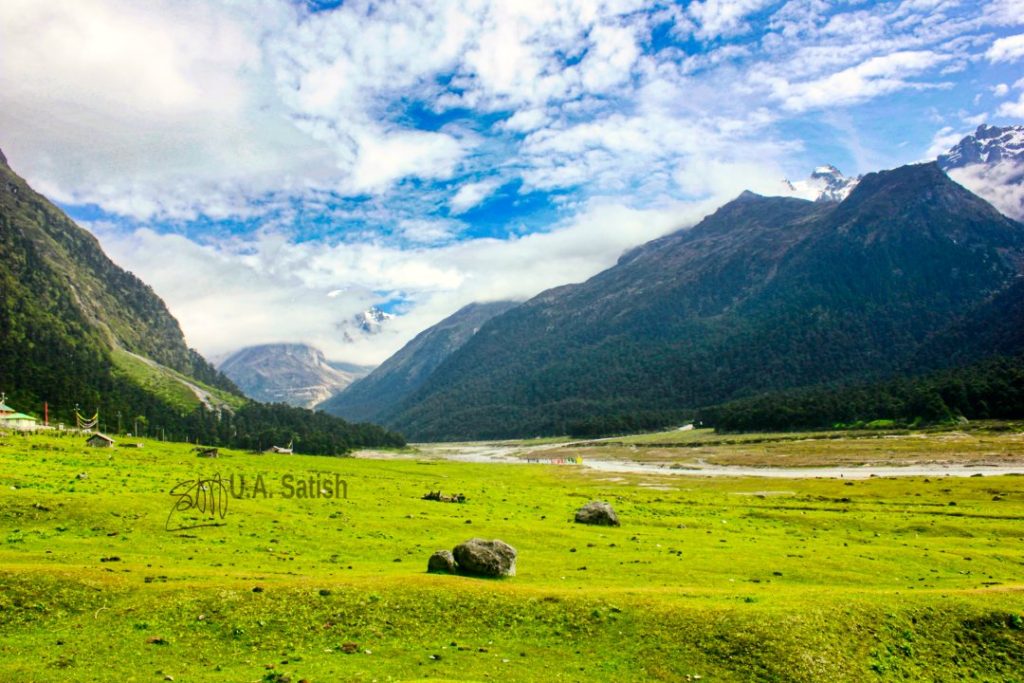 Meadow in Yumthang Valley; Sikkim; uasatish; India; Yumthang Valley;