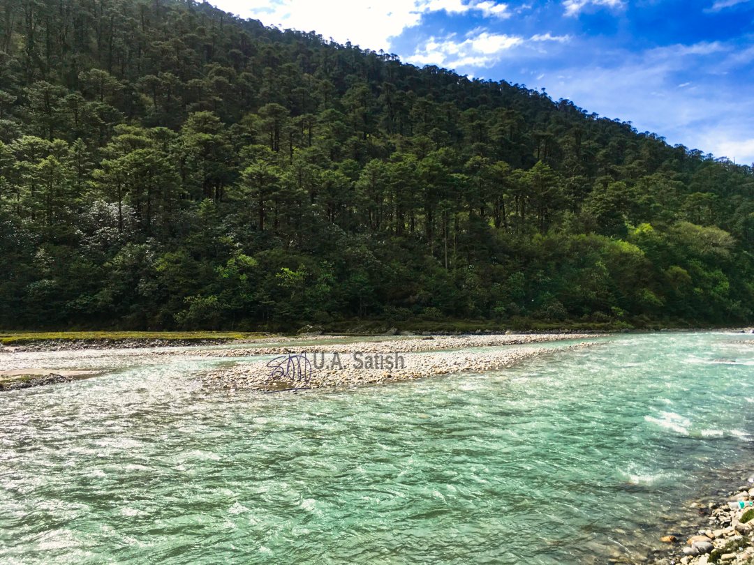 Mountain Stream; Yumthang Valley; Sikkim; trees; sky; clouds; uasatish;