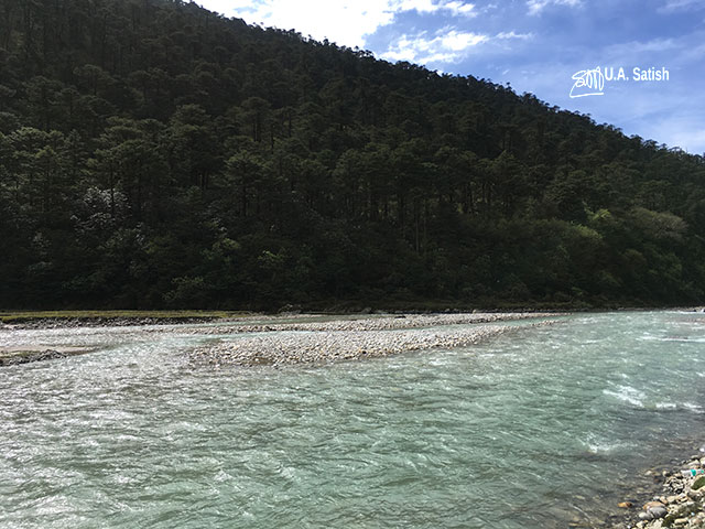 Yumthang Valley; stream; trees; hill; uasatish;