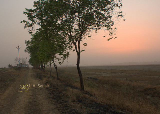 India; Vasai-Virar; Mumbai; country road; sky; trees; uasatish;