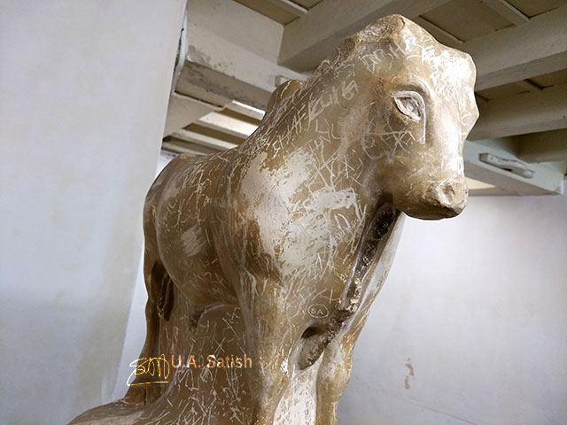 Pazhassi Raja Museum; museum; Calicut; India; Kerala; Kozhikode; uasatish;