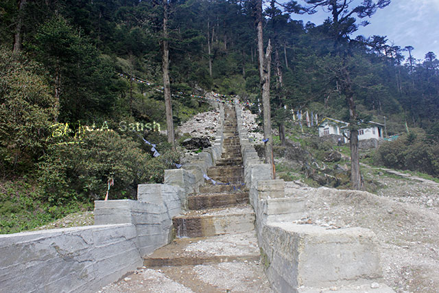 Yumthang, Sikkim, India, steps, uasatish