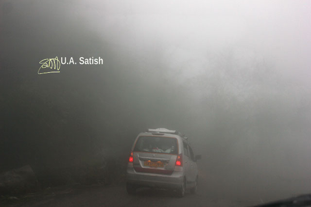 fog; road; car; Sikkim; India; uasatish; Gangtok to Changu Lake;