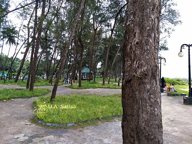 Kappad Beach; Casuarina Trees; Kerala; Malabar; Kozhikode; beach; uasatish;