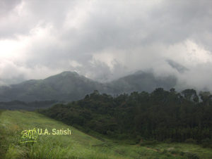 Wayanad; Kerala; India; mountains; clouds; trees; uasarish;