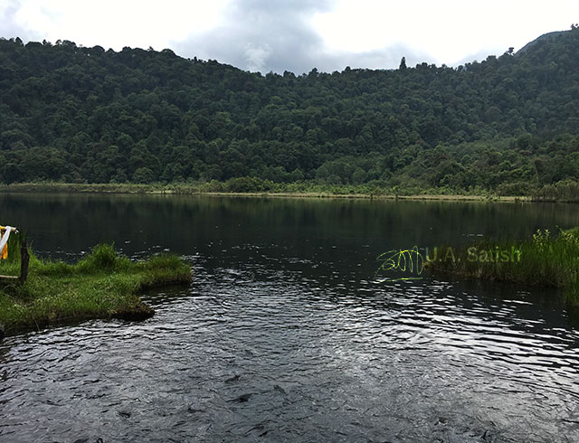 Khecheopalri Lake; Sikkim; India; lake; sky; clouds; trees; uasatish; water;