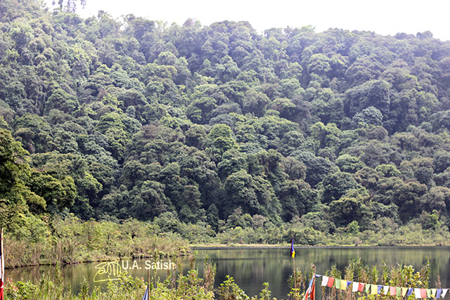 Khecheopalri Lake; Sikkim; India; trees; hill; sky; uasatish;