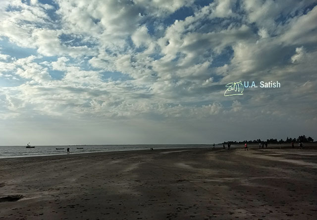 Rangaon Beach; beach; Vasai; India; sky; clouds; sand; uasatish;