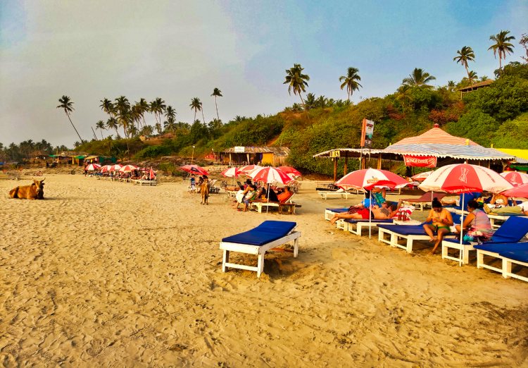 Ozran Beach in North Goa (Little Vagator) - U.A. Satish