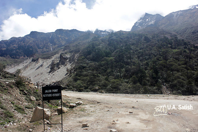 Sikkim; Jalebi Point; road; street; mountain; road sign; trees; sky; uasatish;