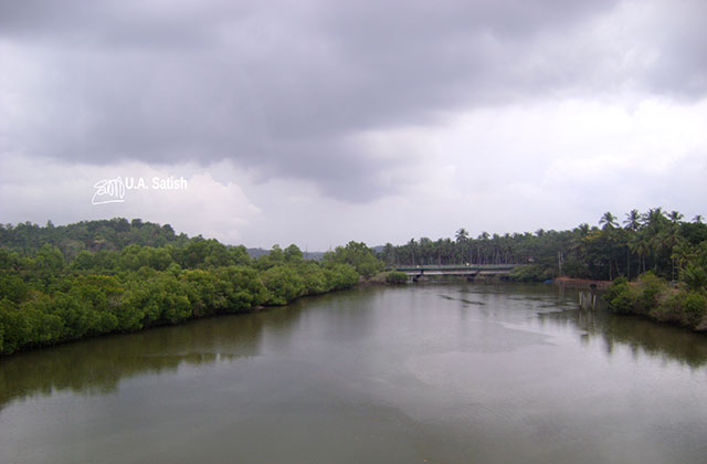 train travel; Kerala; Kannur to Kanhangad; North Malabar; uasatish; India; bridge; mangrove forests;