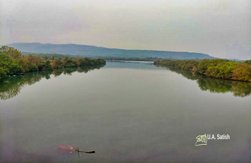 Mangroves-Near-Payyanur; train journey; uasatish; Kerala;