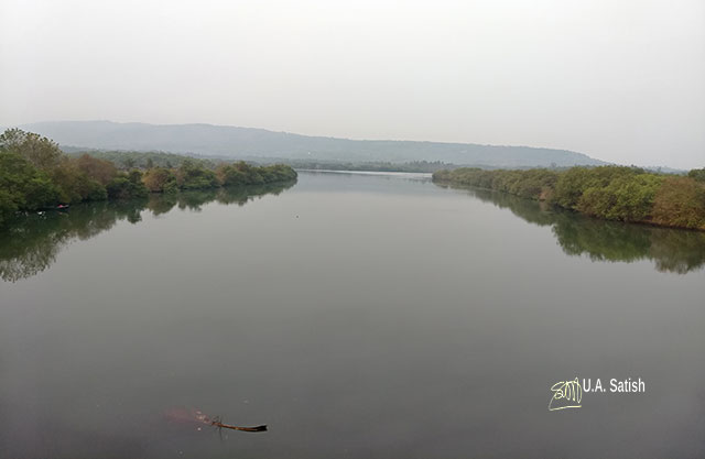 train travel; Kerala; Kannur to Kanhangad; North Malabar; uasatish; India; mangroves; Payyanur;