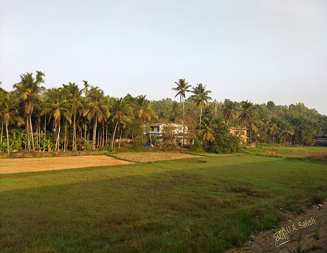 train travel; Kerala; Kannur to Kanhangad; North Malabar; uasatish; India; rice field;