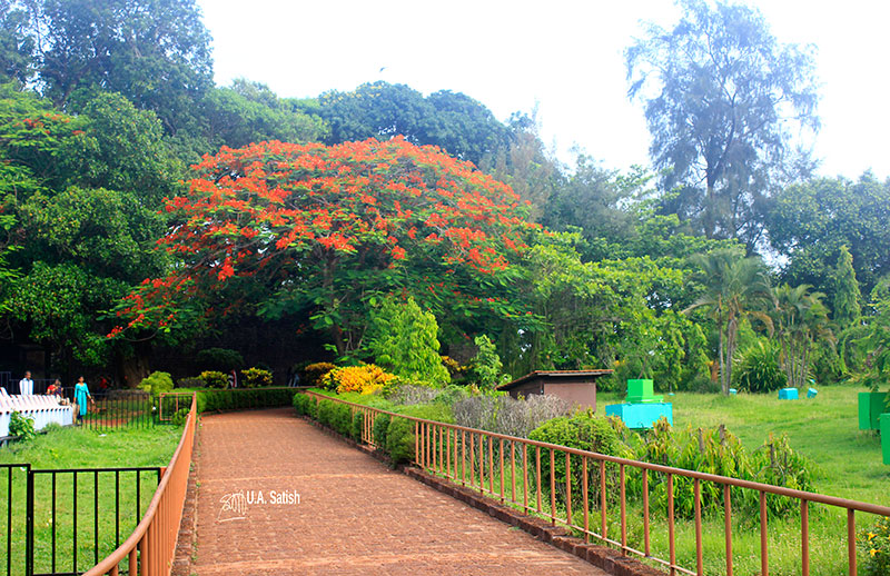 Kannur Fort; Fort St Angelos; Kannur; travel; Kerala; uasatish; garden;