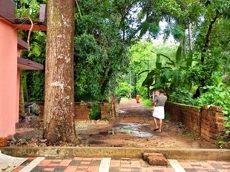 Lane-Outside-Mannanpurath-Bhagavathi-Temple; Neeleshwaram; uasatish;