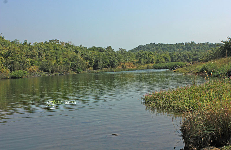 Barvi River; river; Badlapur; Maharashtra; uasatish;